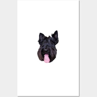 Scottish Terrier Cute Puppy Dog Head Posters and Art